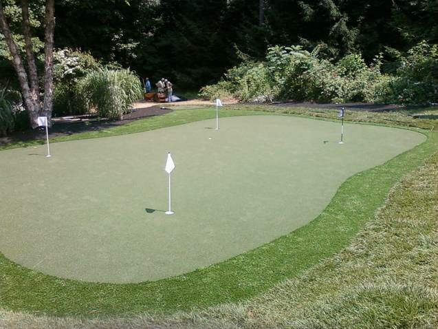 Artificial putting green