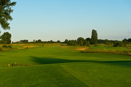 Golf tee and fairway