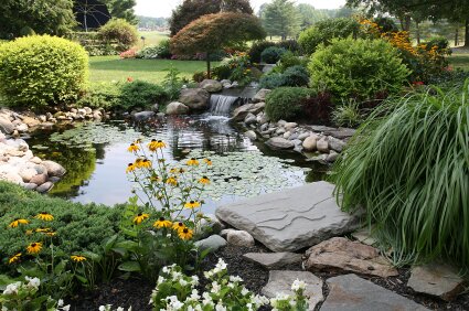 Water feature