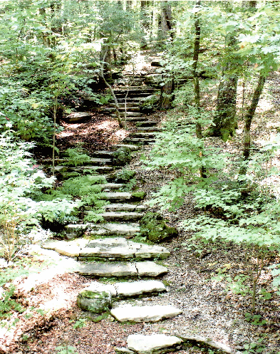 Boulder Steps