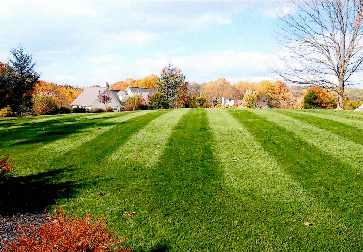 Striped lawn