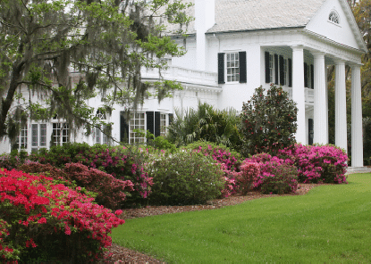 Estate maintenance5